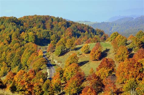 Vegetation Temperate Broadleaf And Mixed Forest