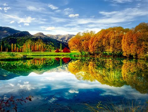 Yellow Tree On Body Of Waters Under Cirrus Clouds Hills Tree Body