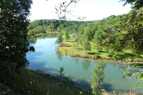 Don't see what you're looking for? Plants Amaze Me: Manistee River Trail, Cabin Adventure