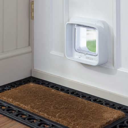 If you're still in two minds about cat door with microchip and are thinking about choosing a similar product, aliexpress is a great place to compare prices and sellers. DualScan microchip cat door for timber | Cat Door Company