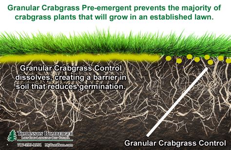 Pre Emergent Herbicides For Weed Control Shop Pre Emergent Herbicide