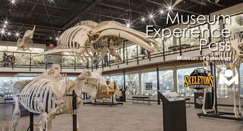 Skeletons Museum Of Osteology Experience Passes Metropolitan Library