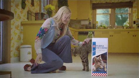 Purina Cat Chow Tv Commercial 50 Years Ispottv