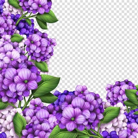 Purple Petaled Flowers Illustration Hydrangea Flower Beautiful