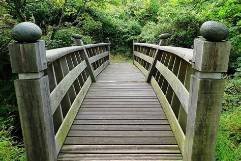 Bridge Wooden Wood Crossing Forest Nature Landscape Journey