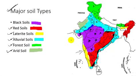 मद क वरगकरण Major Soil Types of India Map Class 10th Geography