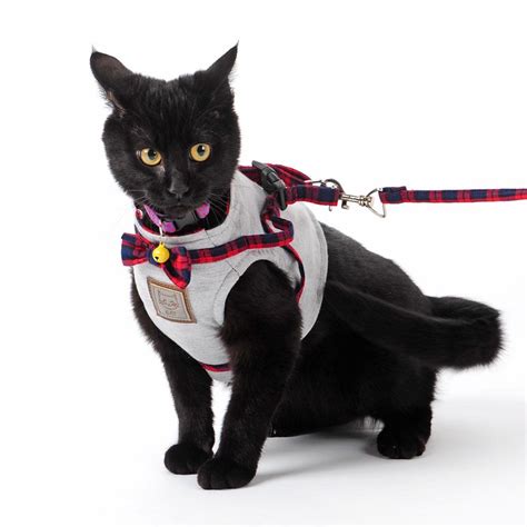 Put an elizabethan collar on a cat. Soft Adjustable Cat Vest Harness With leash - ThePurrShop