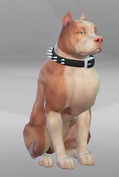 Thor Pitt Bull By Cah3ms At Simsworkshop Sims 4 Updates