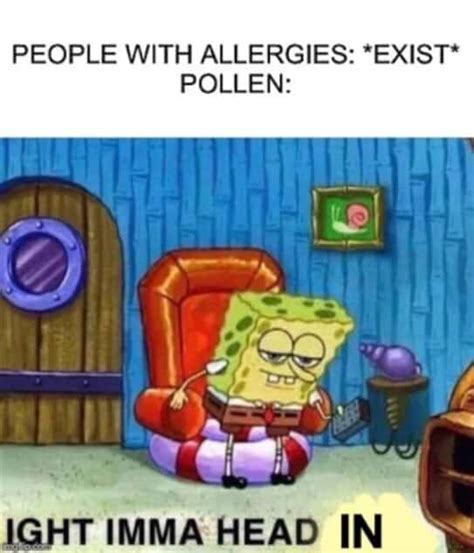 Seasonal Allergy Memes Are Nothing To Sneeze At 25 Memes