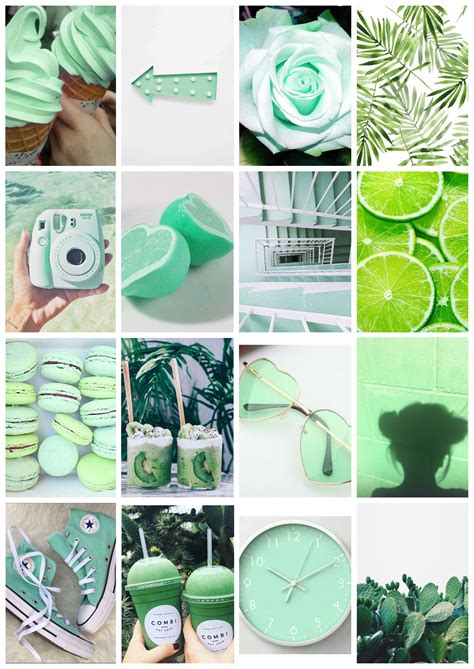 Forest Green Aesthetic Wallpaper Collage Img Abihail