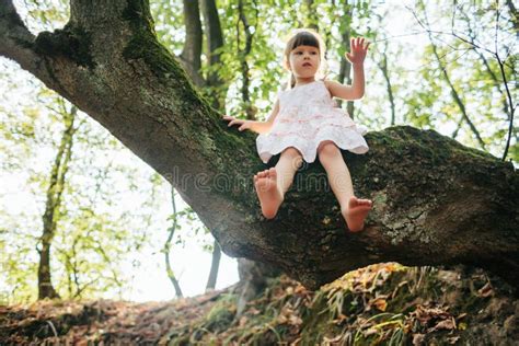 146 Cute Barefoot Girl Hanging Tree Stock Photos Free And Royalty Free