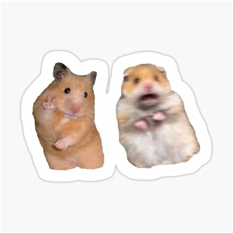 Peace Sign And Screaming Hamster Pullovermeme Funny Sticker By