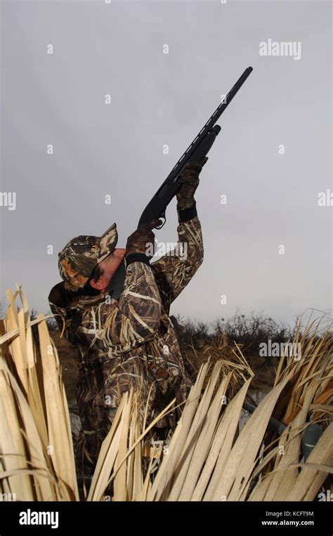 Duck Hunter Hi Res Stock Photography And Images Alamy