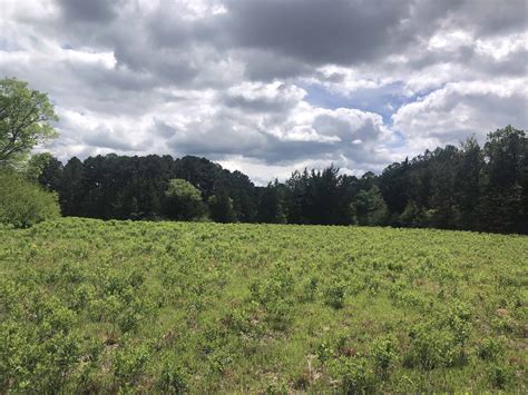 Texas Hunting Land - UC Hunting Properties