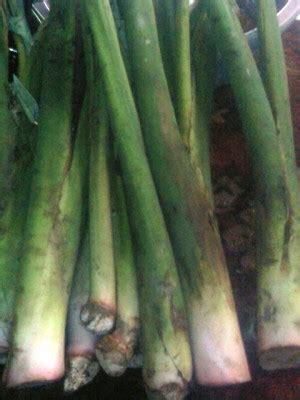 Check spelling or type a new query. Liza Mutiara's Blog: sayur lodeh lompong