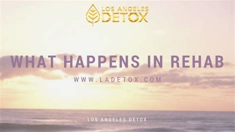 What Happens In Drug Rehab Los Angeles Ca La Detox