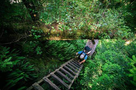 The West Coast Trail Vancouver Islands Iconic Hike Switchback Travel