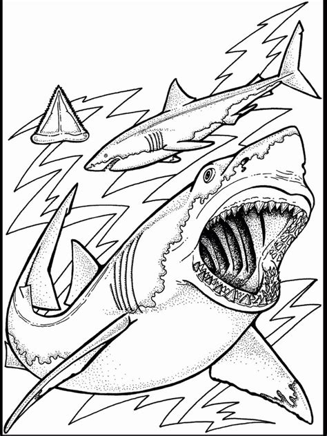 Coloring pages are fun for children of all ages and are a great educational tool that helps children develop fine motor skills, creativity and color recognition! Ocean Habitat Coloring Pages in 2020 | Ocean coloring ...
