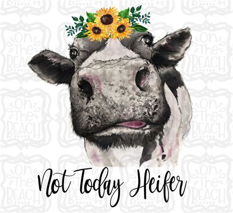 Check spelling or type a new query. Not today Heifer PNG Cow Sunflower Sunflower PNG Instant ...