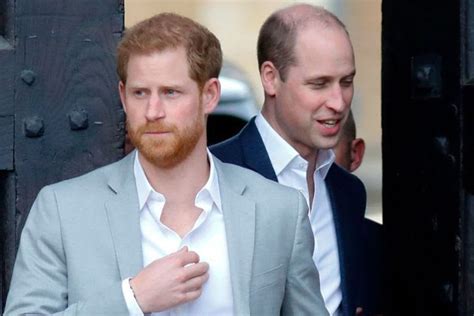 Prince Harry And Prince Williams Feud Explained
