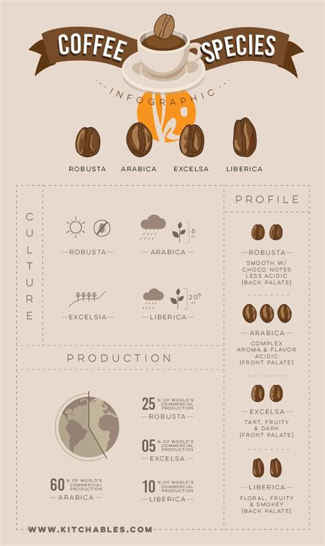 Infographic Types Of Coffee Species Coffeerama Coffee Facts
