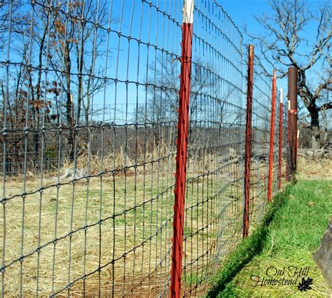 The Best Fencing For Goats Oak Hill Homestead