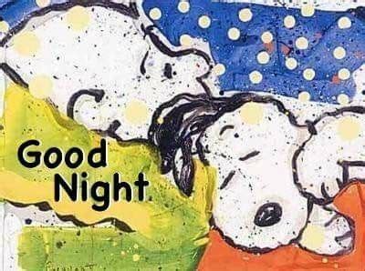 Good night 🌙 | Snoopy love, Snoopy, Snoopy and woodstock