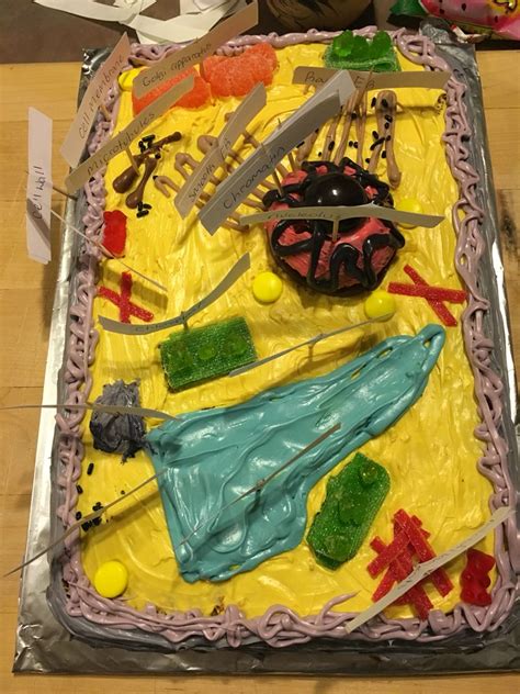 Check spelling or type a new query. Edible animal cell (With images) | Edible animal cell ...