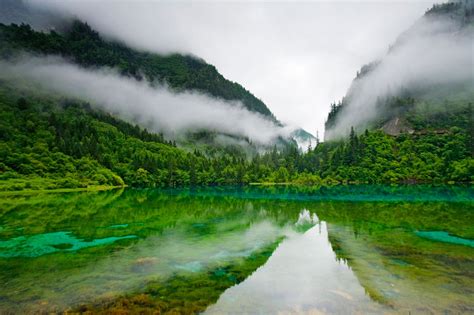 Jiuzhaigou Nature Reserve China Lake Clear Water Trees Mountain