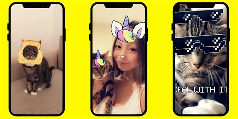How To Use Snapchat Cat Lenses To Take Photos With Your Pet