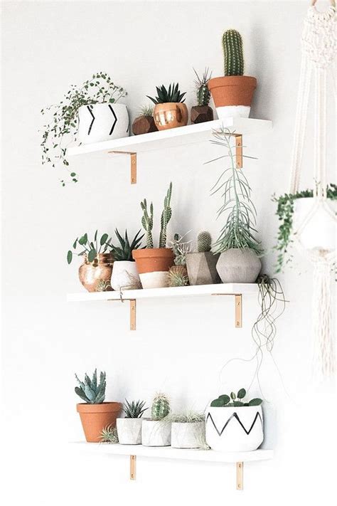 Fiber can stop the release of the starvation hormone ghrelin. 20+ Cool Small Cactus Ideas For Interior Home Design (With ...