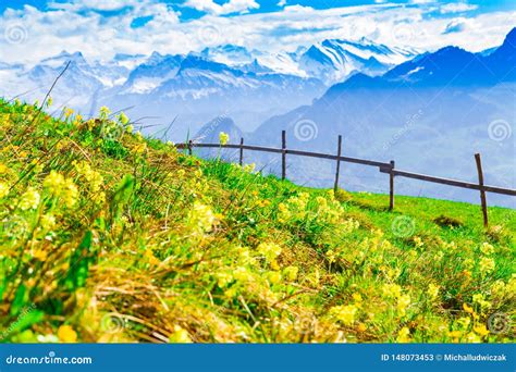 Landscape Of Beautiful Meadow And Mountains In Swiss Alps Stock Image