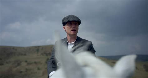 The Last Of The Peaky Blinders Law Life Journey Lawdible