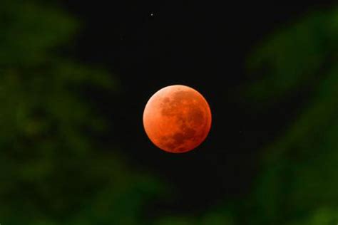 Image captionthe moon appears red in a lunar eclipse as sunlight is filtered through earth's atmosphere. Rare 'super blood blue moon' visible on Jan 31, World News ...