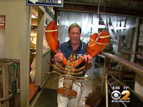 If tinder is used for so many different purposes, how can you tell whether the person in your match list are looking for friendship, hook ups or you can use tinder for any of the above reasons, but it pays to be clear with yourself and everyone else; 95-year-old lobster featured at Long Island, New York ...