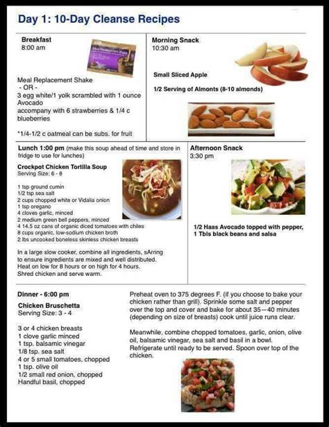 Advocare Day Cleanse Meal Recipes Bryont Blog