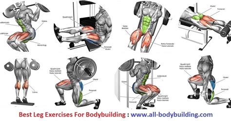 Best Leg Exercises For Bodybuilding All