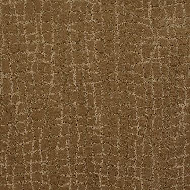 We did not find results for: Patterned Carpets - Not your grandmother's carpet