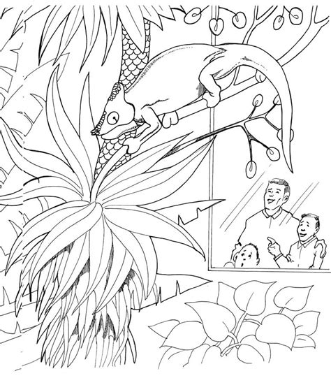 Basilisk Lizard Coloring Page Coloring Pages