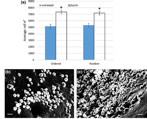 Cell Adhesion Assay A Impact Of Surface Treatment Naoh Vs Untreated