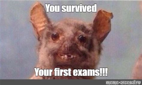Meme You Survived Your First Exams All Templates Meme