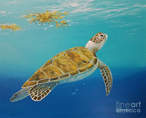 Sea Turtle Swim Painting By Bj Royster Fine Art America