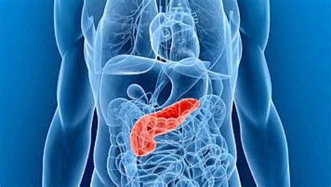Acute Pancreatitis Symptoms Forum Bronchitis Contagious