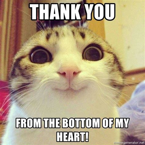 However, in those days, help is becoming rarer and rarer day by day. Thank You From the bottom of my heart! - Funny cat | Meme Generator