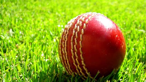 Cricket Wallpapers High Quality | Download Free