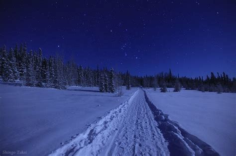 Following Orion On A Winter Moonlight Night Fairbanks Alaska Photo