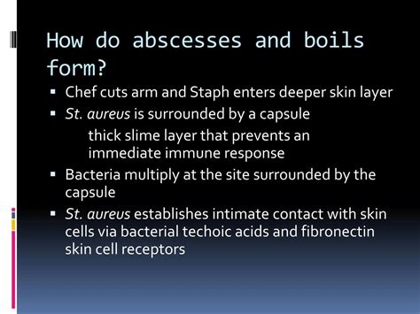 Ppt Foodborne Pathogens It Can Be Classified Into Three Forms