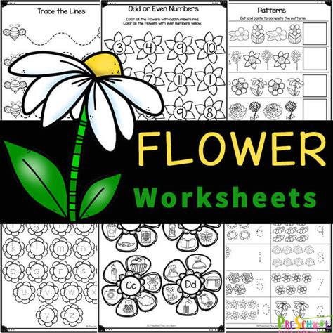 Free Printable Flower Worksheets For Preschool And Kindergarten Riset