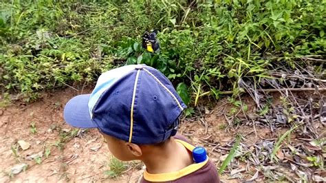 After the death of kishore kumar, the first song his son amit kumar recorded was the title song rama o rama tune yeh kaisi. Rama rama cantik, hiking dikimanis Borneo island - YouTube