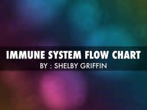 Immune System Flow Chart By Shelby Griffin